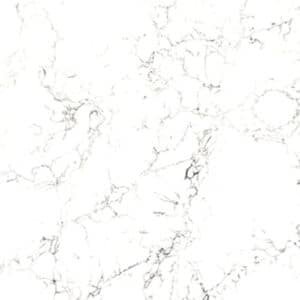 Paris quartz swatch